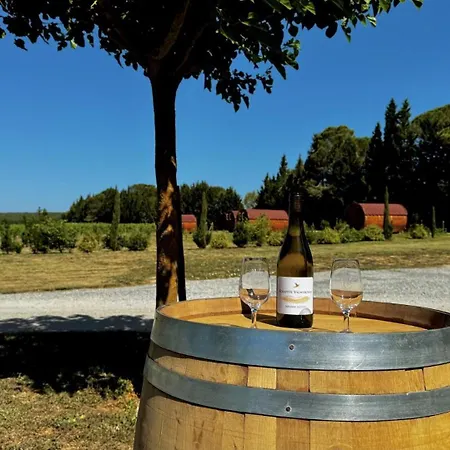 L'echappee Vigneronne Holiday home